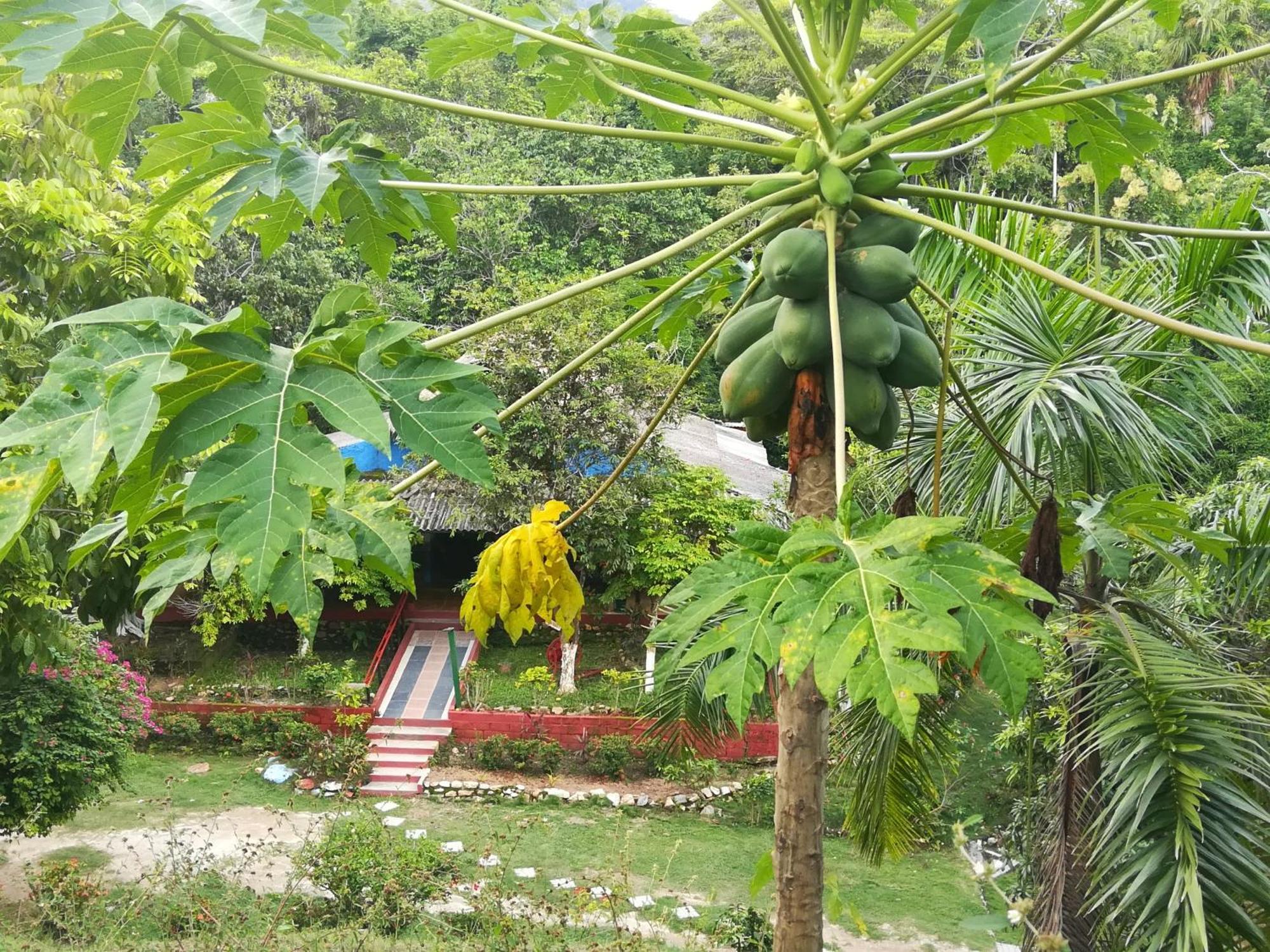 Вілла Entre Bosques Tayrona Лос-Наранхос Номер фото